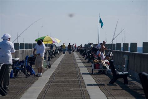 pensacola fishing forum|fish bite pensacola pier today.